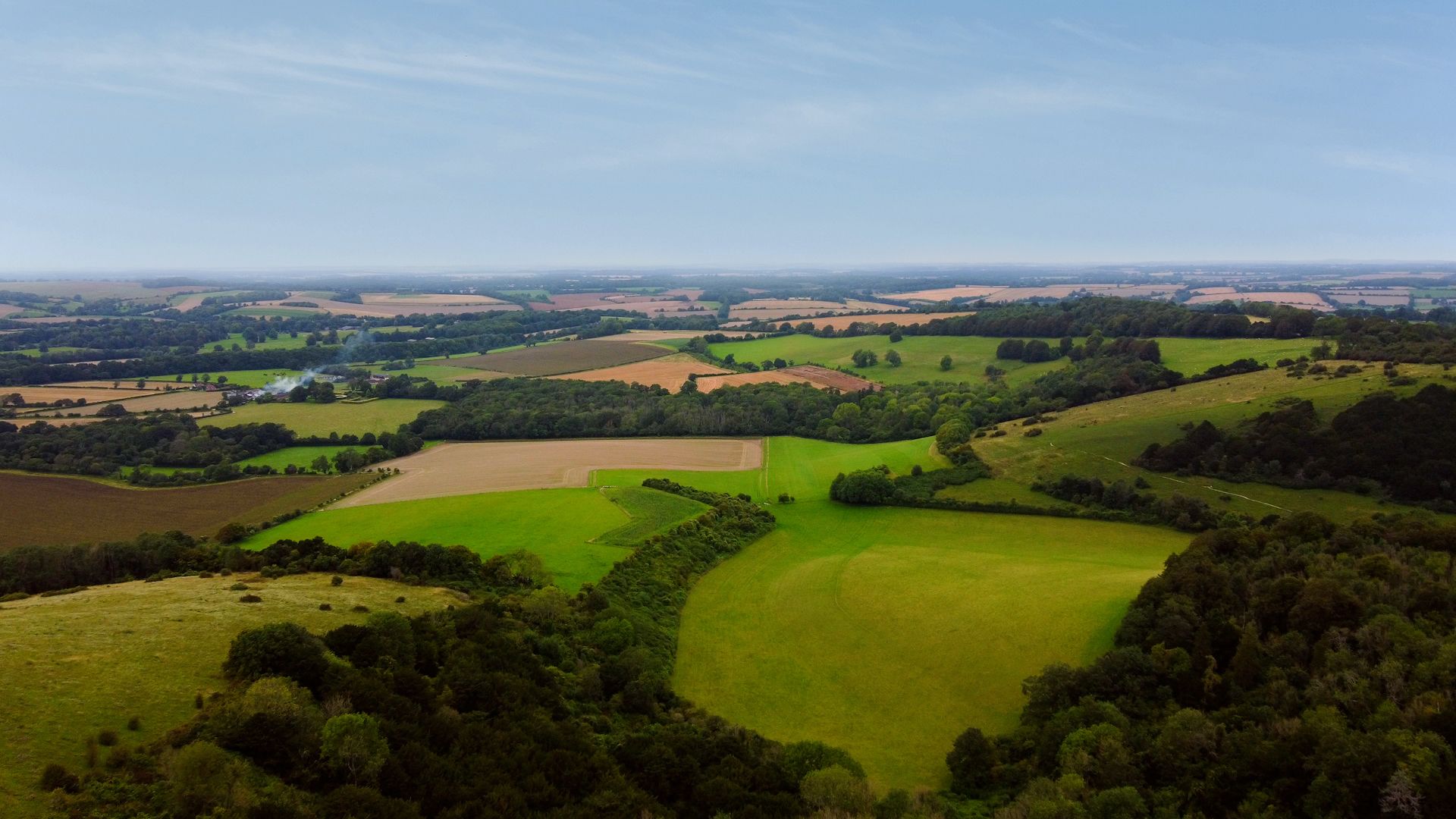 Basildon Area Guide - Douglas Allen