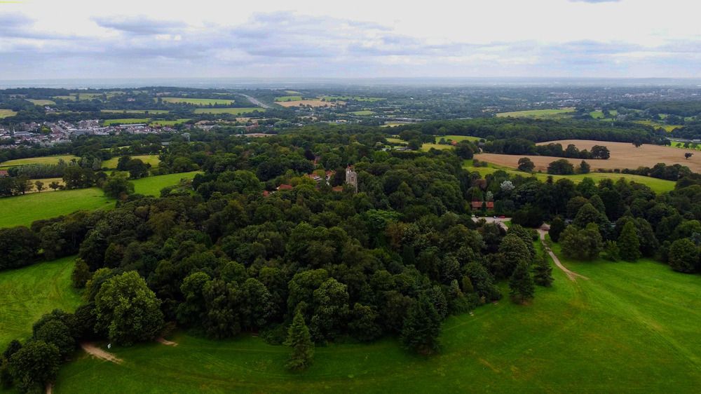 Brentwood Area Guide - Douglas Allen