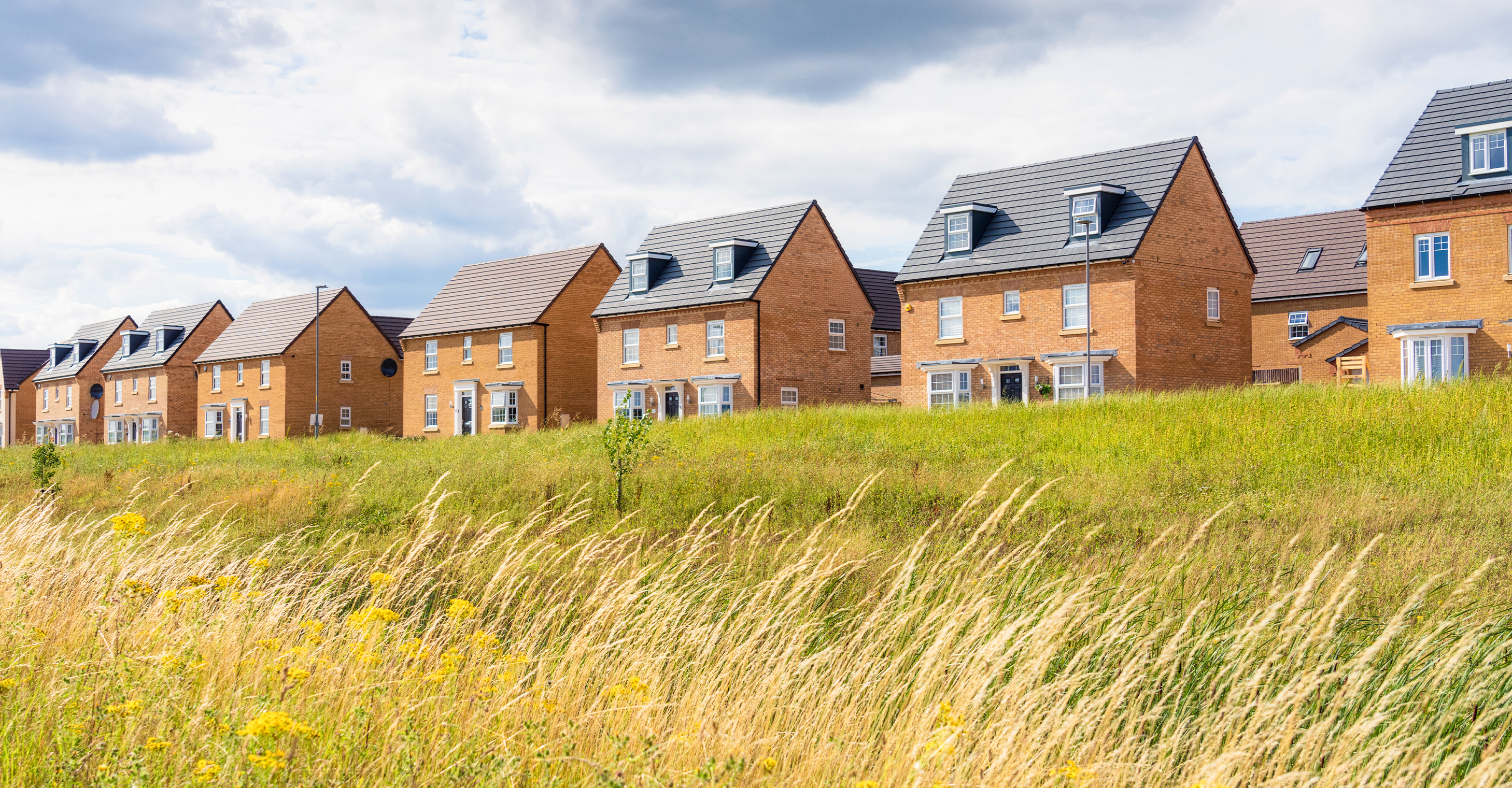 Guides - a guide to new homes - Douglas Allen
