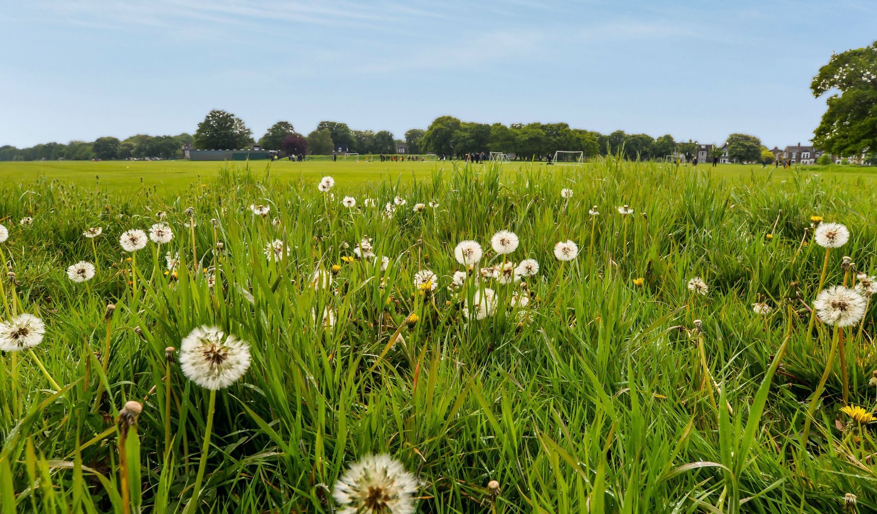 Barkingside Area Guide - Douglas Allen