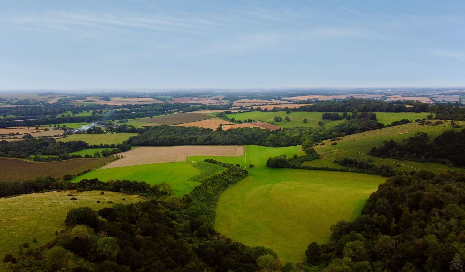 Basildon Area Guide - Douglas Allen