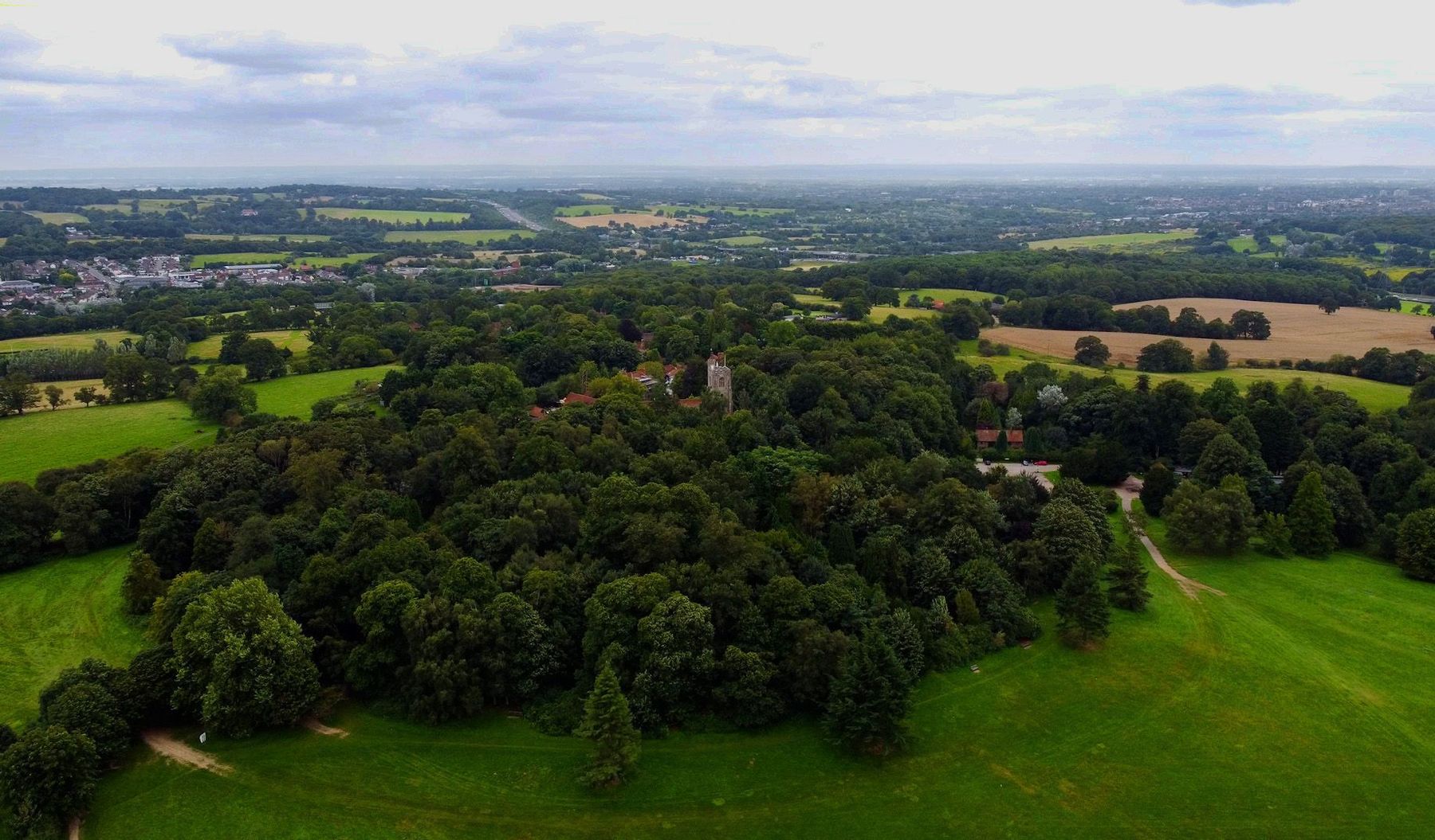 Brentwood Area Guide - Douglas Allen