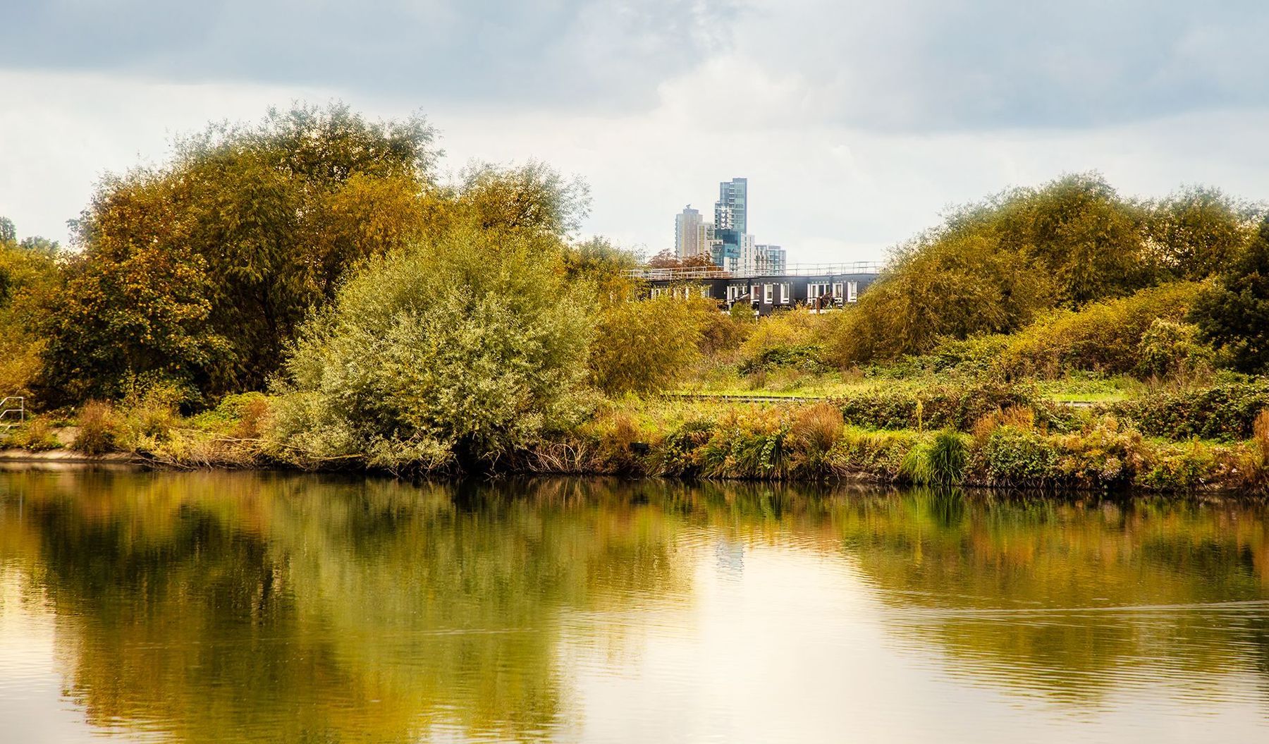 Walthamstow Area Guide - Douglas Allen