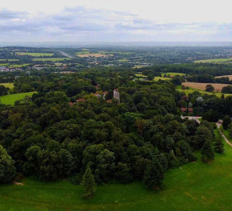 Brentwood Area Guide Douglas Allen